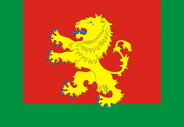 Флаг: Ржевский муниципальный округ